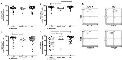 The Co-inhibitor BTLA Is Functional in ANCA-Associated Vasculitis and Suppresses Th17 Cells